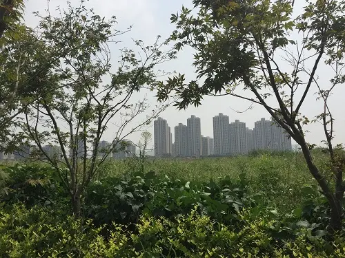 华润地块