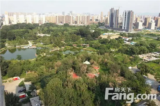 永乐公园鸟瞰风景图