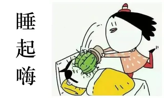 佳泰丽景大厦vs宝居·朗庭国际 起来嗨还是先去睡?