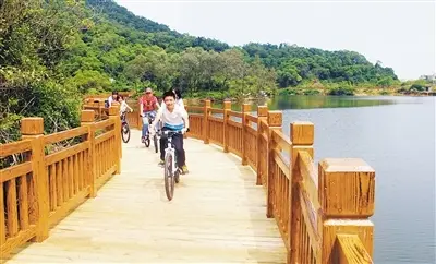 金湾区“新农村”条码管垃圾