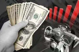 杭州万科良渚文化村正式入驻阿里喵街