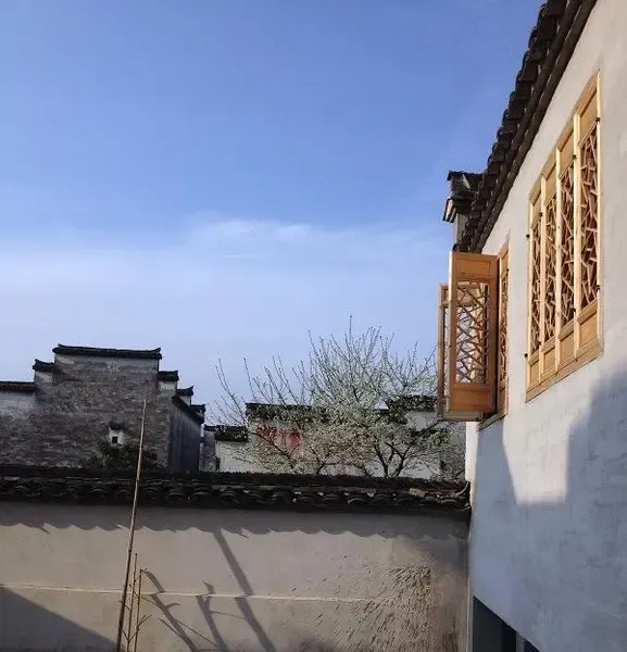 夫妇迁居南屏山,明清老房修整全过程,美翻了!