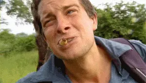 食物链终端的贝爷这么多年用生命吃出了2亿豪宅