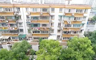 ÷����Է