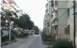 ����С��