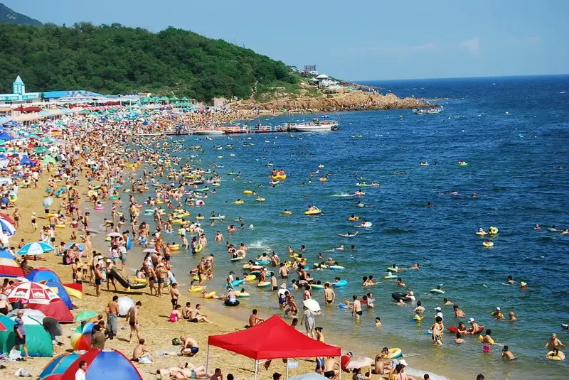 大连人请挺住接下来有7个坏消息要告诉喃们