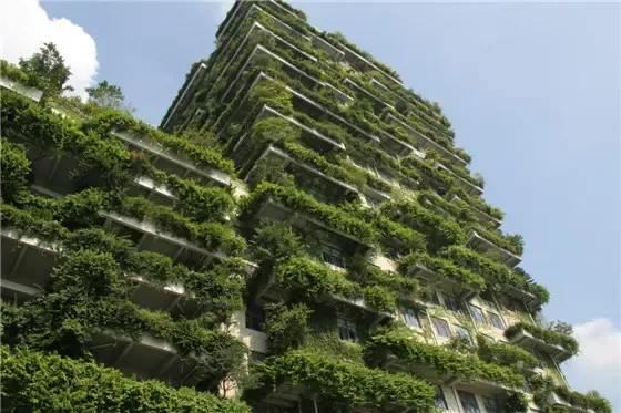 "走进碧桂园,了解碧桂园"台州媒体采风之旅