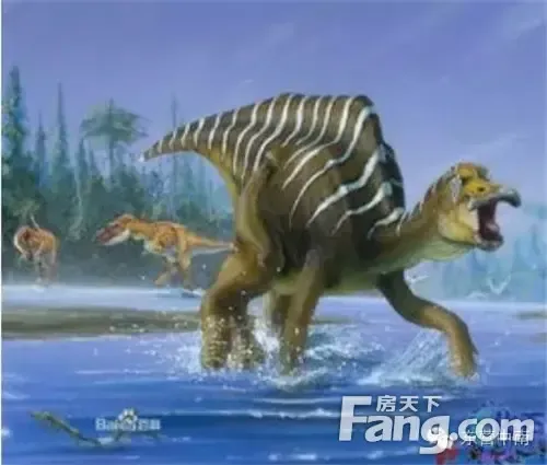 笨重的原角龙似袋鼠的肿头龙似鳄鱼的重爪龙还有可爱的恐龙蛋不仅如此