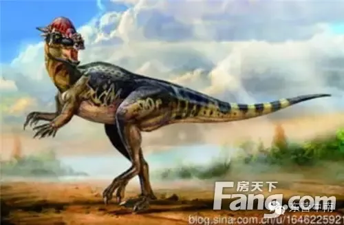 笨重的原角龙似袋鼠的肿头龙似鳄鱼的重爪龙还有可爱的恐龙蛋不仅如此