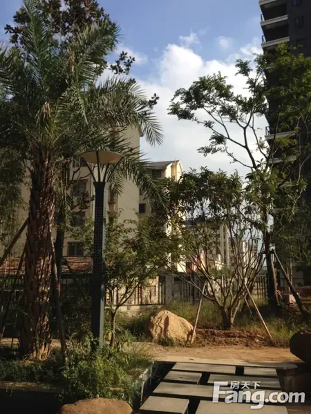 看看这环境,有水有绿地,小区规划有多个人工湖,且临近翠林高尔夫球场