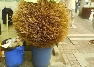 一次性筷子的制作过程让人触目惊心再也不用了