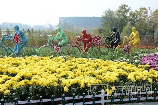 菊花展