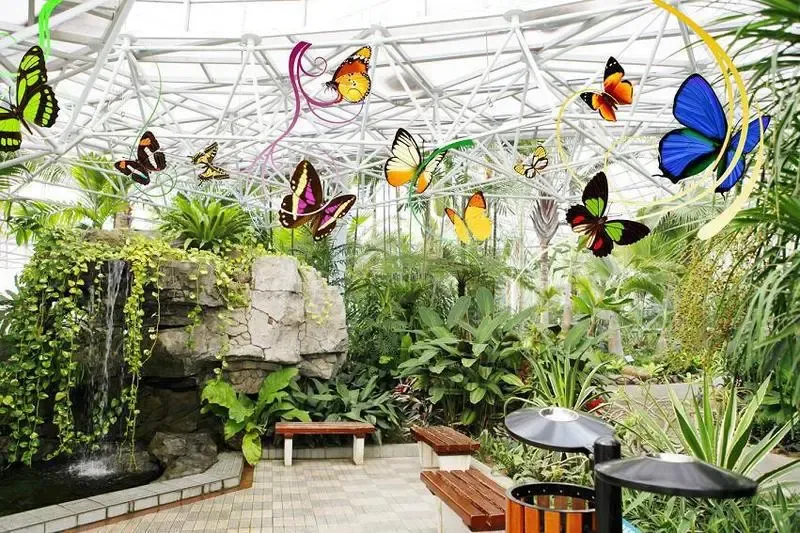 11月8日蝴蝶之王降临茂名亿丰5大亮点抢先看