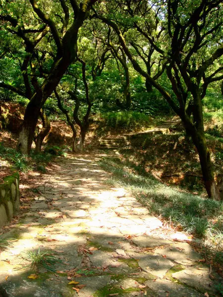 珠海＝情侣路？珠海旅游带点什么“特产”好？