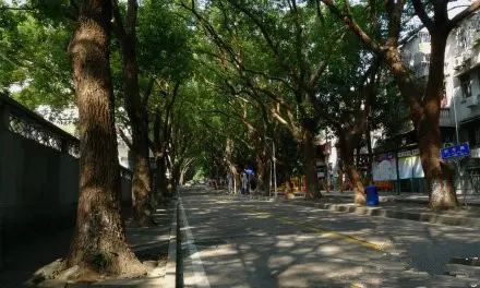 珠海＝情侣路？珠海旅游带点什么“特产”好？