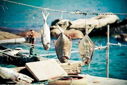 珠海＝情侣路？珠海旅游带点什么“特产”好？
