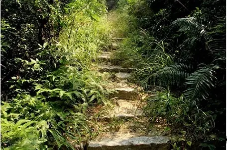 珠海＝情侣路？珠海旅游带点什么“特产”好？