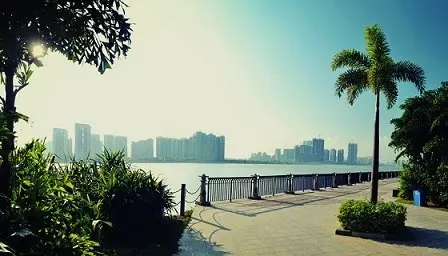 珠海＝情侣路？珠海旅游带点什么“特产”好？