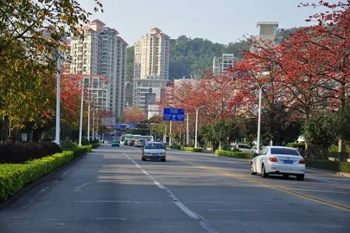 珠海＝情侣路？珠海旅游带点什么“特产”好？