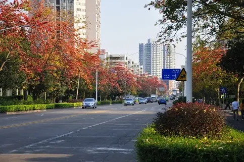 珠海＝情侣路？珠海旅游带点什么“特产”好？