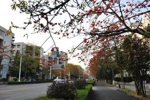 珠海＝情侣路？珠海旅游带点什么“特产”好？
