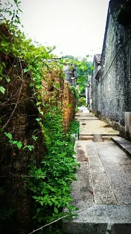 珠海＝情侣路？珠海旅游带点什么“特产”好？