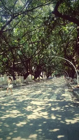 珠海＝情侣路？珠海旅游带点什么“特产”好？