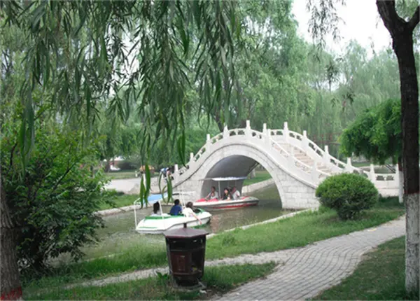 大都汇