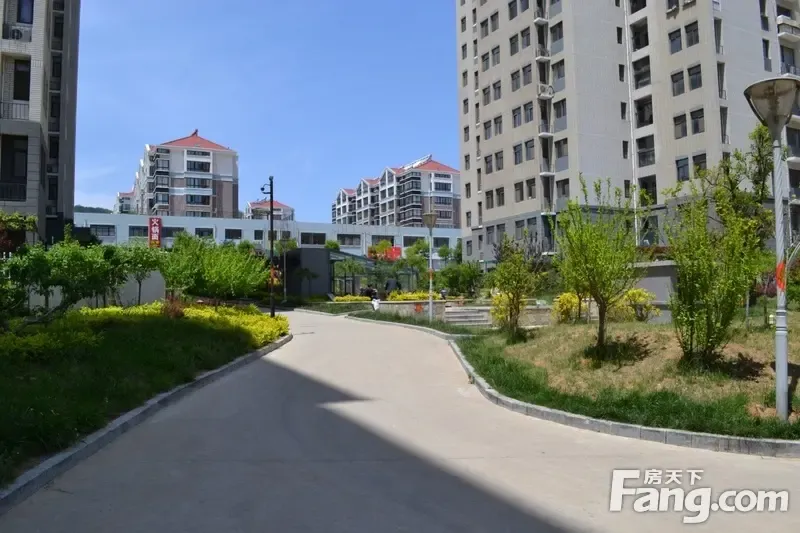 阳光上城:在烟台遇见你 这个微凉的晚秋