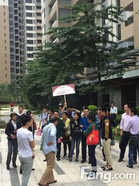 深圳专场看房团