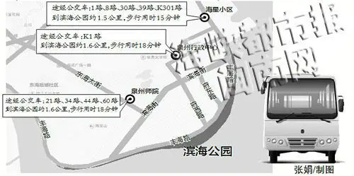 泉州滨海公园何时通公交 菊花展丰海路成“车展路”