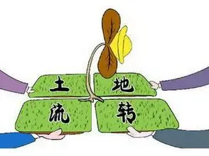 土地转让手续办理需要的条件及程序