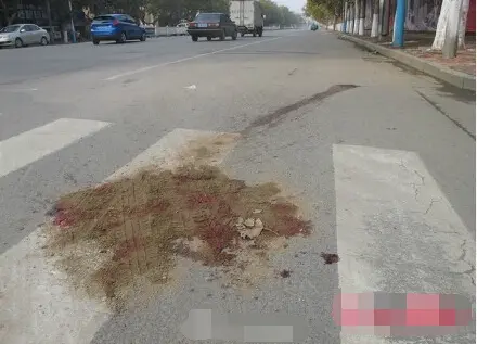 临沂人身边的大事小事新鲜事，吃喝玩乐，衣食住行，有图有证据，天天来爆料！锁定房天下，一手掌握临沂新麻辣资讯！又是因为没有办法办理房产证维权，临沂市宝鼎花园业主拉白条幅维权！
