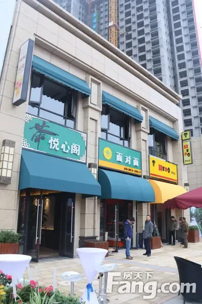 鑫苑大都汇商业样板段盛大开放