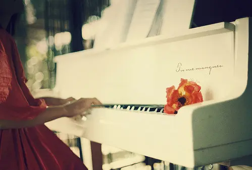 【长成?锦溪禾府】灵动之音 奏响锦溪 温馨开启