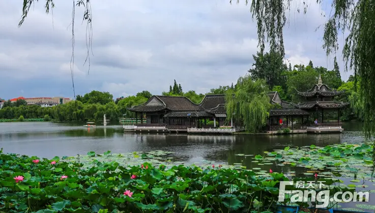荷花池公园实景图