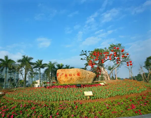 金山植物公园阳江市中医院阳江市汽车总站中集商业配套中集国际城