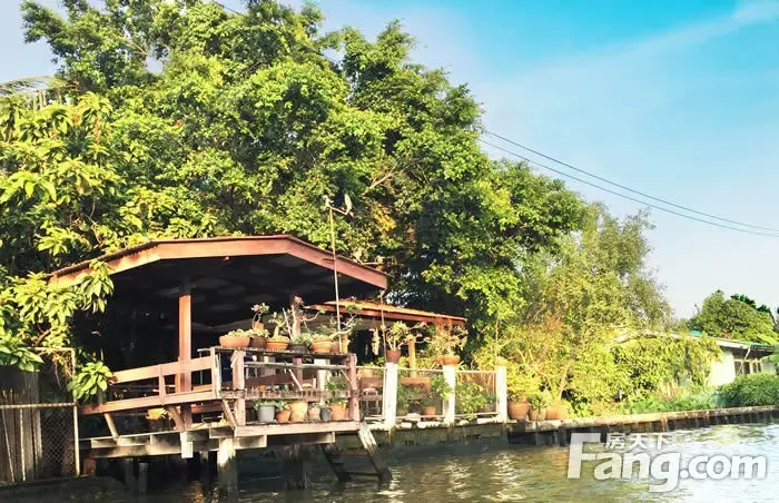 湄南河畔午后静谧时光 真实原始的泰式吊脚