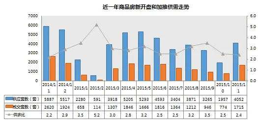 11月开盘