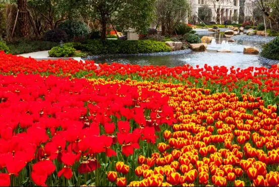 2016年新湖海德公园要给乐清一点颜色看看