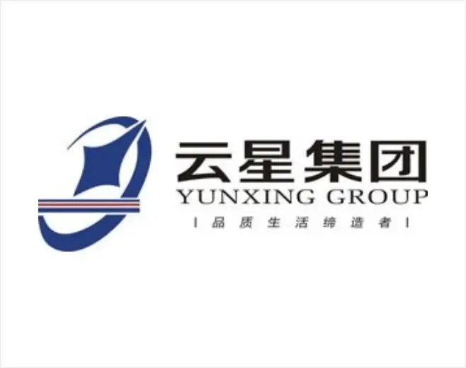 云星集团