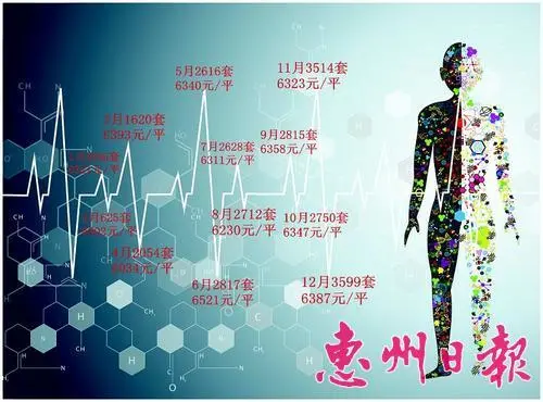 2015楼市成交心电图 