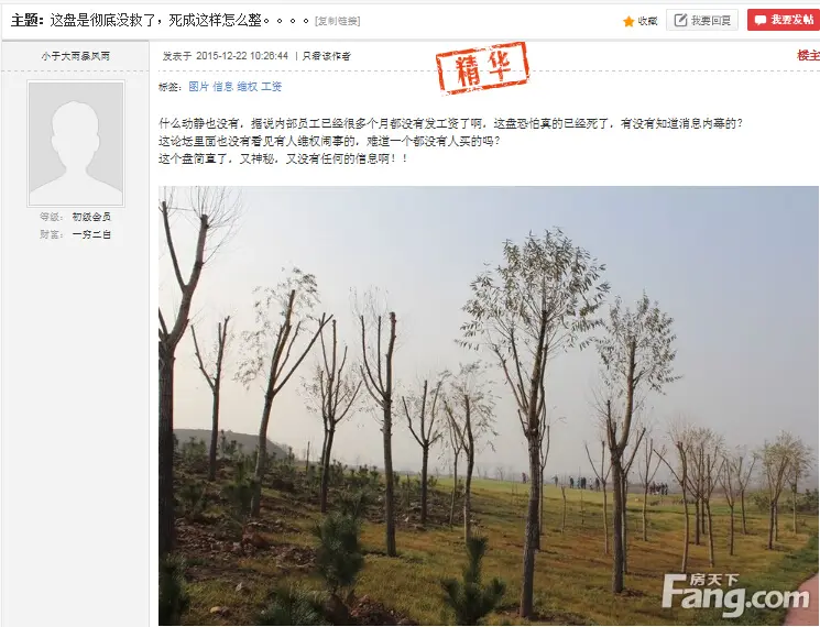 淄博问题楼盘