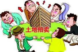 2016上海首宗纯宅地遭争抢 禹洲26.3亿斩获