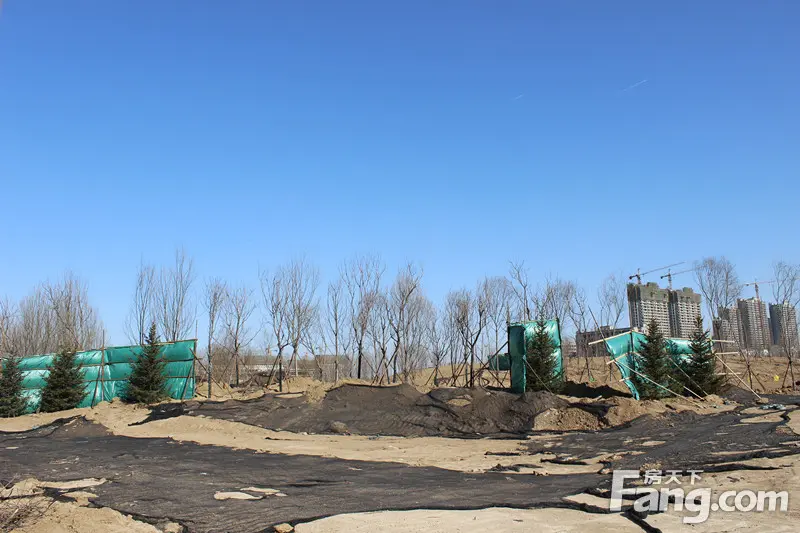 号外！丹凤公园开建啦 一片片小树林已成型
