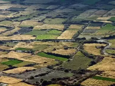 2016年土地如何改？农民必须知道！