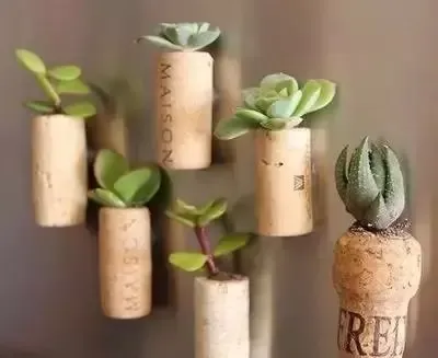 10种废弃物再利用打造绿植家居装饰