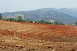 搞懂这些农资常识再搞土地承包！