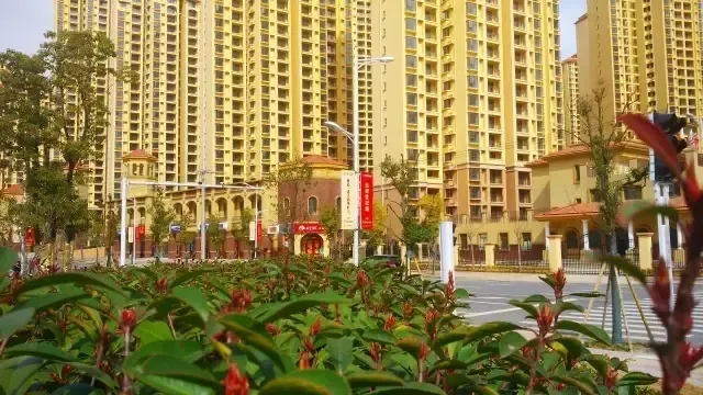 春风十里不如你 东津世纪城风光大片鉴赏