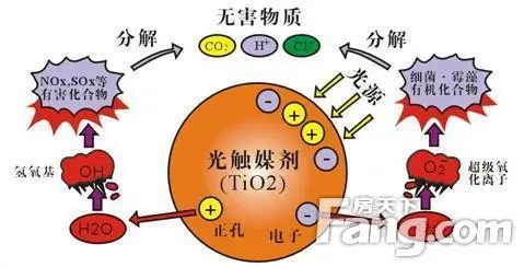 光触媒是什么